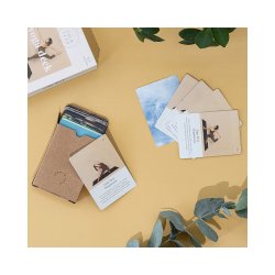 Yoga Deck - Yoga velser for begyndere og let-vede