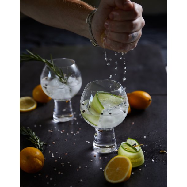 Ginglas  St med 2  Elegant servering af din yndlingsgin
