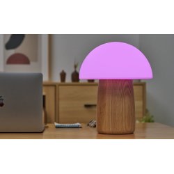 Gingko Alice Mushroom Lamp � designlampe i svampeform
