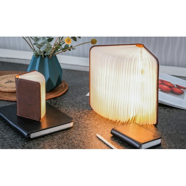 Gingko Fibre Leather Smart Book Light