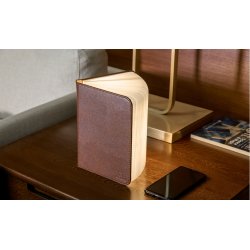Gingko Fibre Leather Smart Book Light