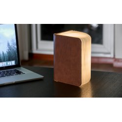 Gingko Fibre Leather Smart Book Light