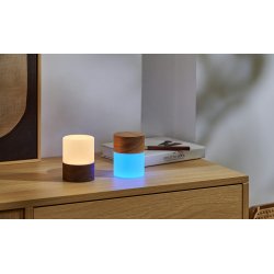 Gingko Lemelia Light � Atmosf�risk belysning i to st�rrelser