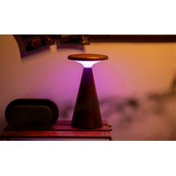 Gingko Sylva Table Lamp