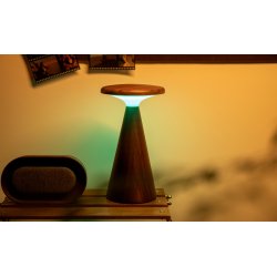 Gingko Sylva Table Lamp