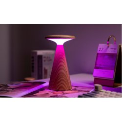 Gingko Sylva Table Lamp
