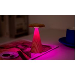 Gingko Sylva Table Lamp