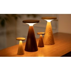 Gingko Sylva Table Lamp