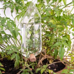 Blomstervander - Water from a crystal