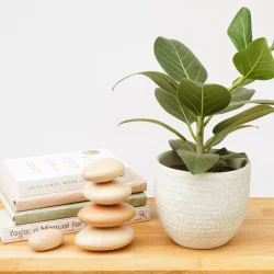 Calm Club Balance - Skab Ro i Dit Liv