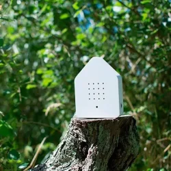 Relaxound - Skn fuglesang i huset - Zwitscherbox (2 minutter)