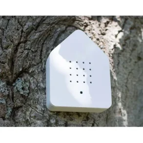 Relaxound - Sk�n fuglesang i huset - Zwitscherbox (2 minutter)