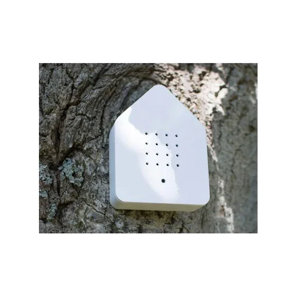 Relaxound - Sk�n fuglesang i huset - Zwitscherbox (2 minutter)