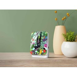 Relaxound - Sknne junglelyde i huset - Junglebox (120 sekunder)