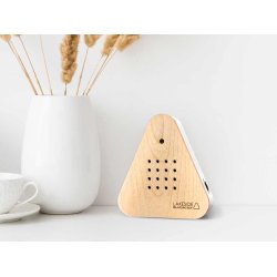 Relaxound - Sknne skovslyde i huset - Lakesidebox (120 sekunder)