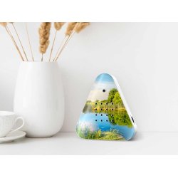 Relaxound - Sknne skovslyde i huset - Lakesidebox (120 sekunder)