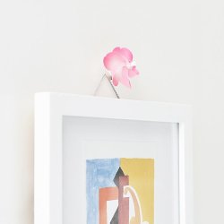 Magneter - 3 stk. japanske kirsebrblomster, der kan snurre