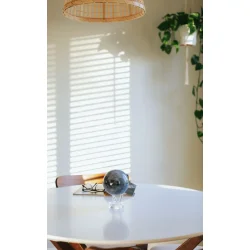 MOVA Globe - Mne - Roterende globus drevet af solceller