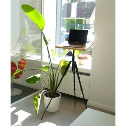  NotaDesk Elsewhere - m/justerbart stativ