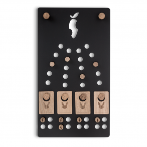 Motivationstavle til hele familien - The Challenge Board - sjov og belnning