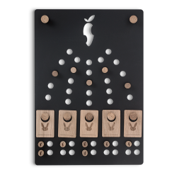 Motivationstavle til hele familien - The Challenge Board - sjov og belnning